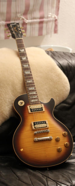 Les Paul Eigenbau